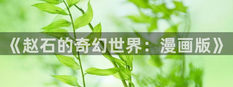 yy漫画首页登录：《赵石的奇幻世界：漫画版》