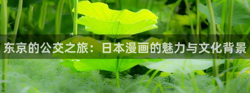 yy漫画登录页面免费漫画在线登：东京的公交之旅：日本漫画的魅力与文化背景