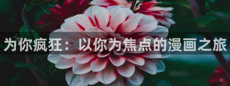 yy漫画入口大全：为你疯狂：以你为焦点的漫画之旅