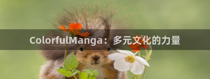 yy漫画免费漫画页面在线看漫画免费视频弹窗：ColorfulManga：多元文化的力量