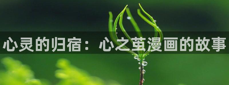 yy漫画免费观看完整：心灵的归宿：心之茧漫画的故事