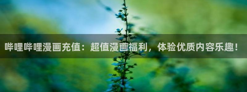 yy漫画汗汗：哔哩哔哩漫画充值：超值漫画福利，体验优质内容乐趣！