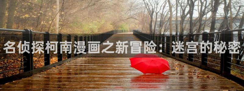 yy漫画网页版登录入口：名侦探柯南漫画之新冒险：迷宫的秘密