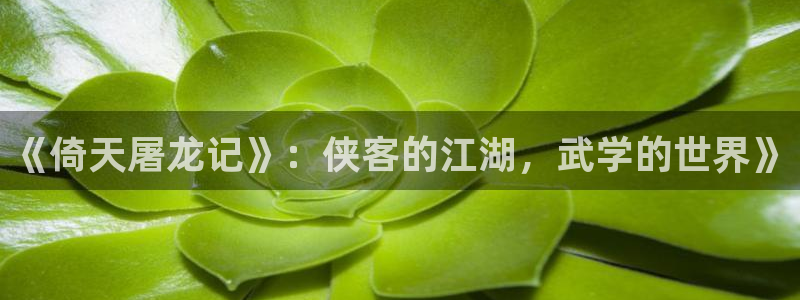 yy漫画无：《倚天屠龙记》：侠客的江湖，武学的世界》
