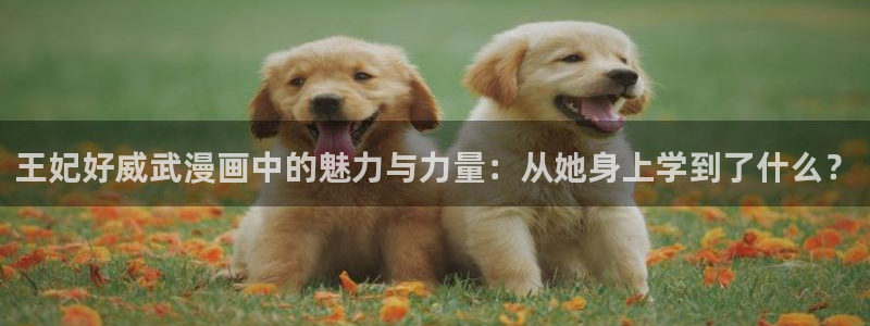 yy漫画歪歪漫画：王妃好威武漫画中的魅力与力量：从她身上学到了什么？
