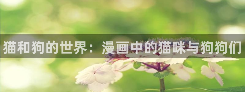 yy漫画51：猫和狗的世界：漫画中的猫咪与狗狗们