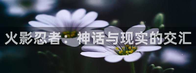 yy漫画.：火影忍者：神话与现实的交汇