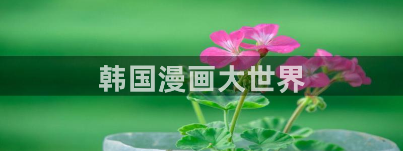 yy漫画网下拉式：韩国漫画大世界