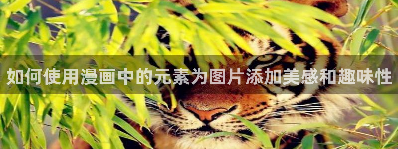 韩国yy漫画在线观看：如何使用漫画中的元素为图片添加美感和趣味性